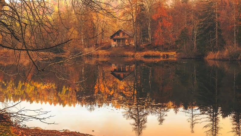 Rustic Lodge in the Forest